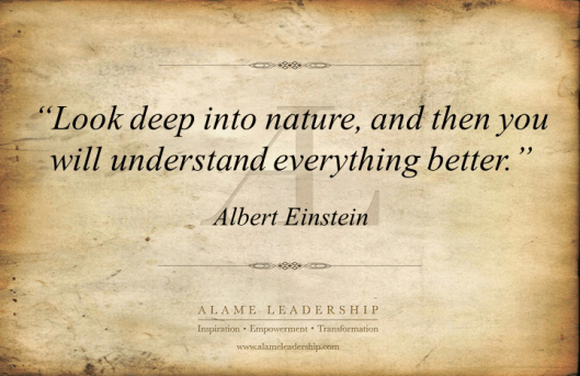 AL Inspiring Quote on Nature as Wisdom